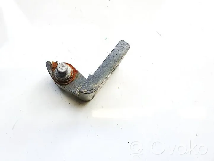 Skoda Octavia Mk2 (1Z) Rear door lower hinge 