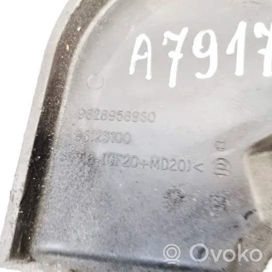 Fiat Ulysse Osłona paska / łańcucha rozrządu 9628958980