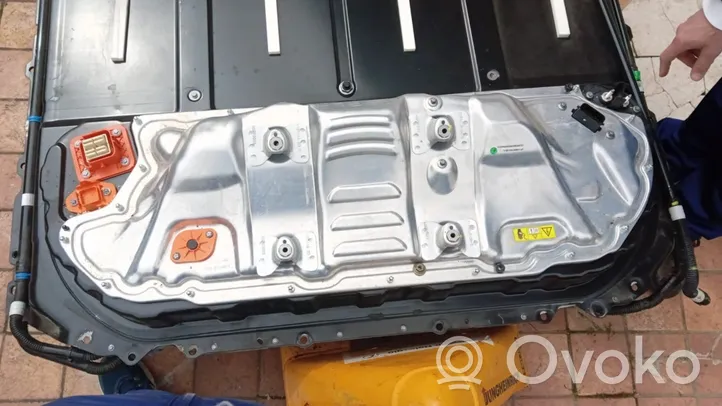 Tesla Model 3 Batterie Hybridfahrzeug /Elektrofahrzeug TG120040000X42