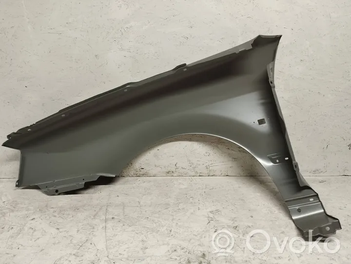 Renault 19 Fender 