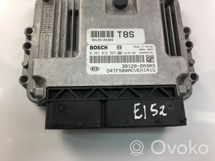 KIA Optima Centralina/modulo motore ECU 391202A303