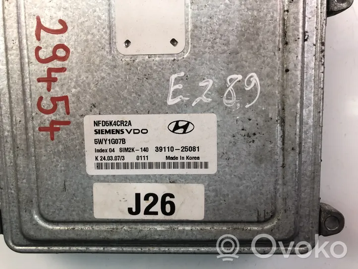 Hyundai Sonata Unité de commande, module ECU de moteur 3911025081