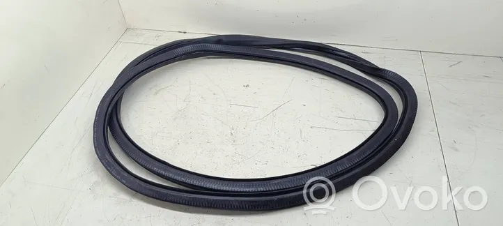 Volkswagen PASSAT B6 Front door rubber seal 3C4867911B