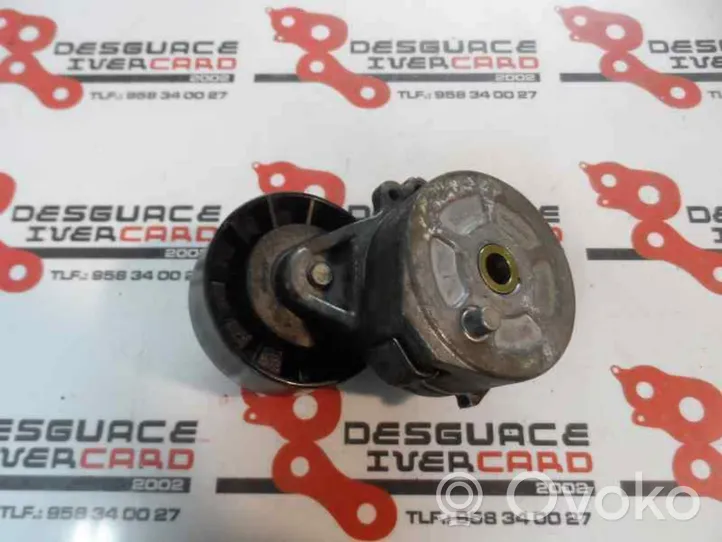 Peugeot 807 Napinacz paska alternatora 