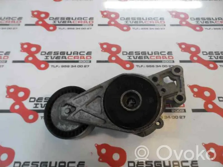 Seat Leon (1P) Tendicinghia generatore/alternatore 