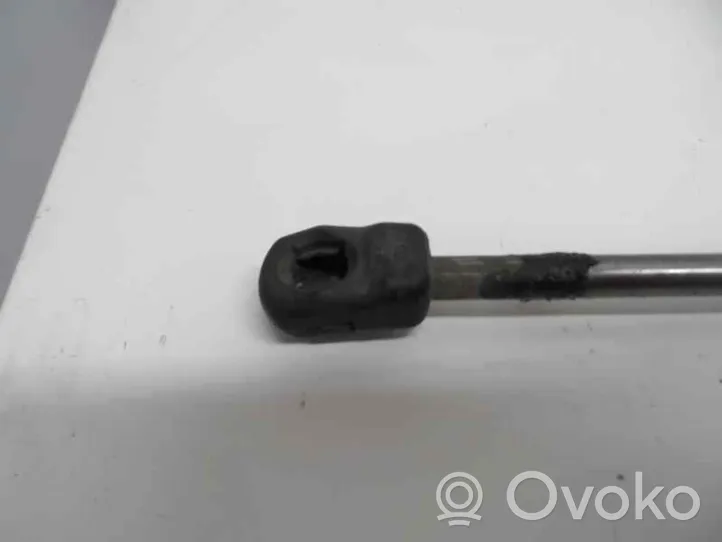 Volkswagen PASSAT B5.5 Ammortizzatore portellone anteriore/cofano 