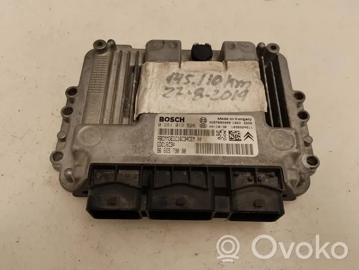 Peugeot 206+ Calculateur moteur ECU 9666579080