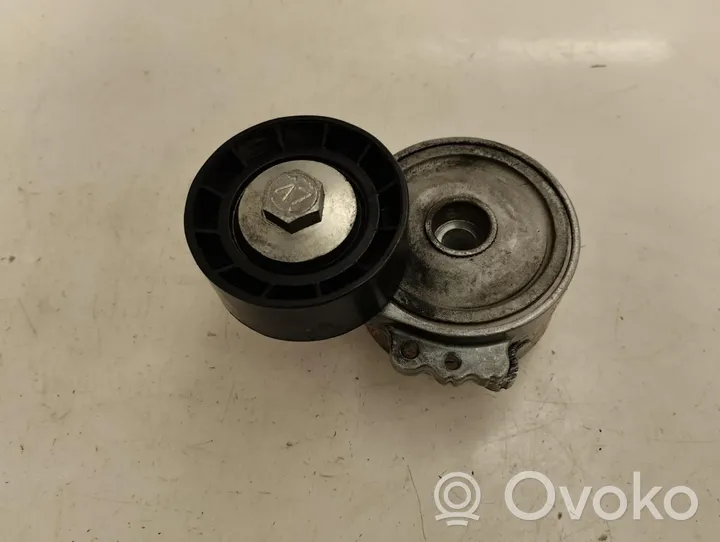 Peugeot 307 Generator/alternator belt tensioner 