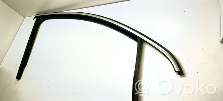 Volkswagen PASSAT B7 Guma sandarinimo priekinių durų (prie stiklo) 