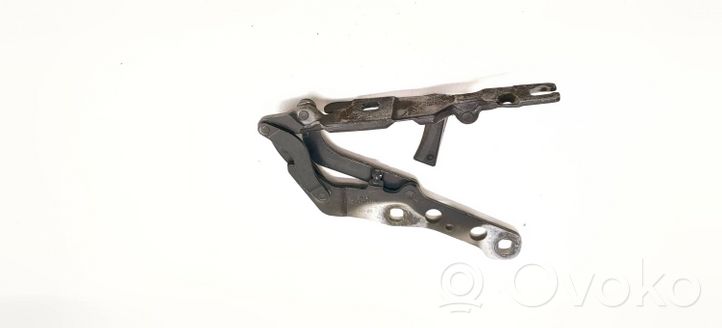 BMW X3 E83 Cerniere del vano motore/cofano 3411448