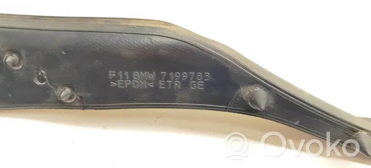 BMW 5 F10 F11 Rubber seal rear door 7199783