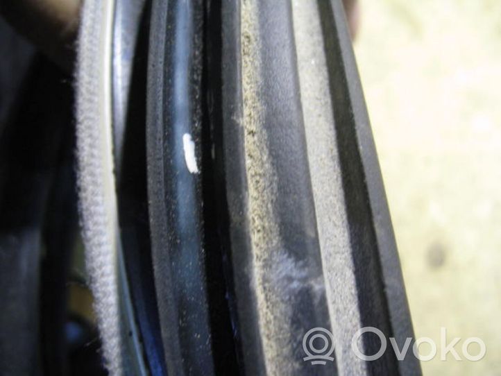 Volkswagen Golf IV Front door rubber seal 