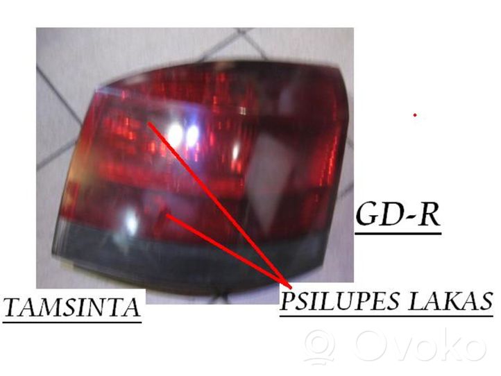 Opel Signum Luci posteriori 13159862