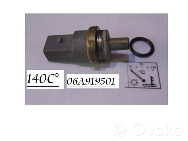 Volkswagen Polo IV 9N3 Coolant temperature sensor 06A919501