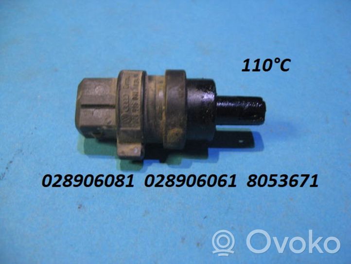 Volkswagen PASSAT B5 Intake air temperature sensor 028906081