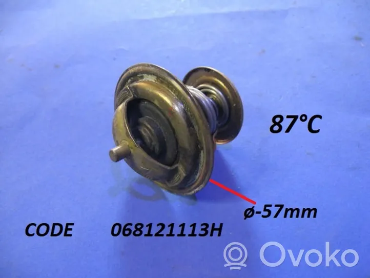 Audi 100 S4 C4 Termostatas 068121113H