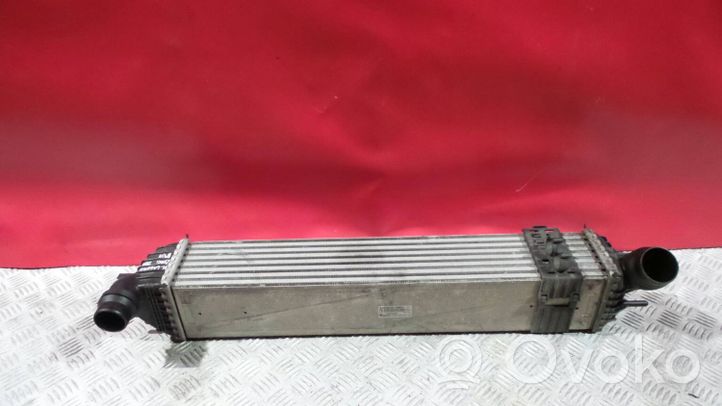 Renault Laguna III Chłodnica powietrza doładowującego / Intercooler 