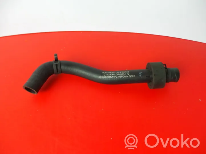 Mercedes-Benz S W222 Coolant pipe/hose 