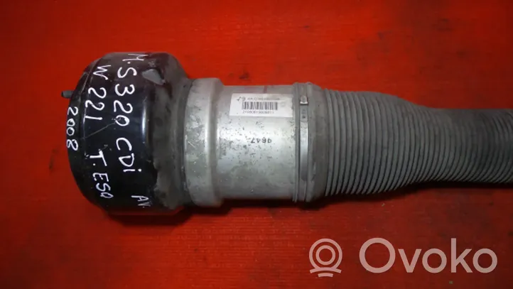 Mercedes-Benz S W221 Air suspension rear shock absorber 