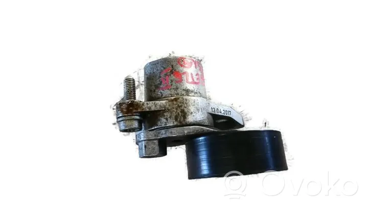 Volkswagen Beetle A5 Tendicinghia generatore/alternatore 04E145299L