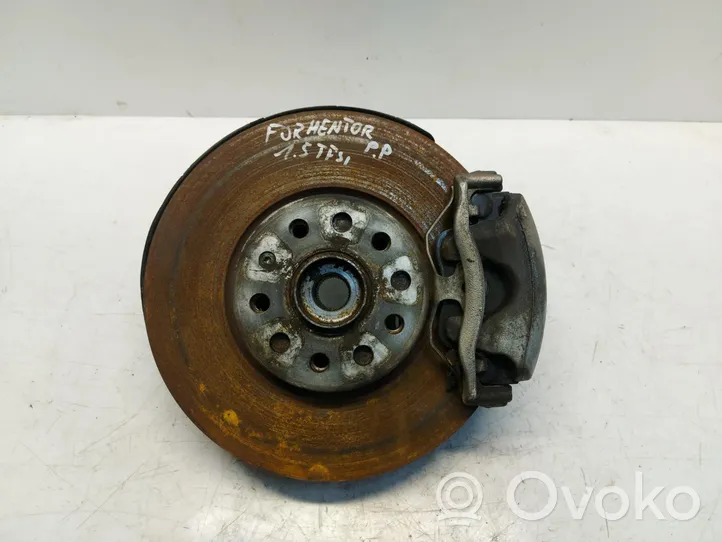 Cupra Formentor Front wheel hub spindle knuckle 5WA407258A