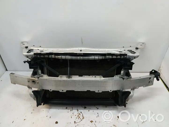 Mercedes-Benz C W205 Radiatoru panelis (televizors) a2056203301