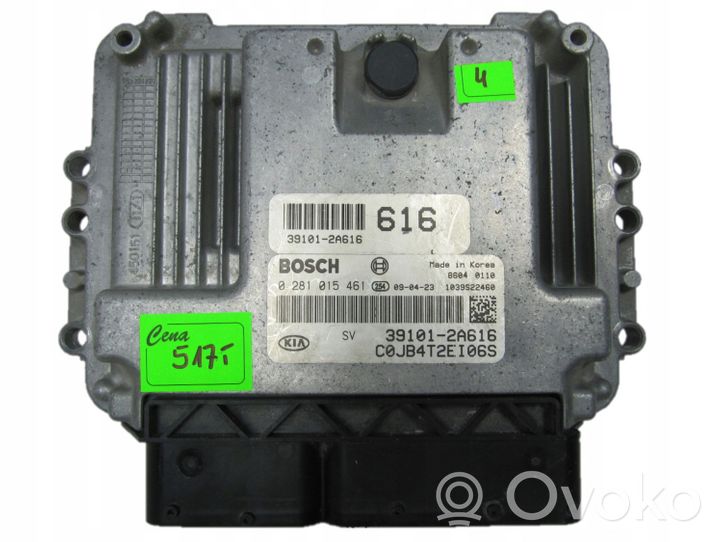 KIA Rio Sterownik / Moduł ECU 0281015461