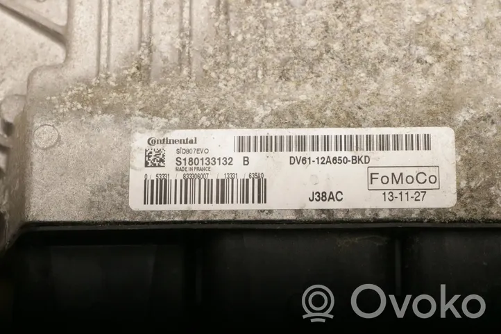 Ford Transit -  Tourneo Connect Sterownik / Moduł ECU DV61-12A650-BKD