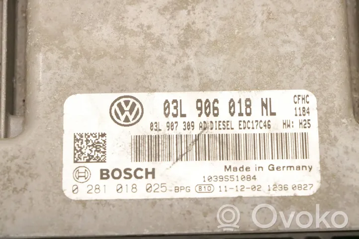 Volkswagen Caddy Sterownik / Moduł ECU 03L906018NL