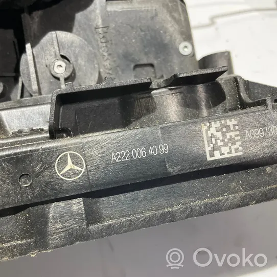 Mercedes-Benz S W222 Etuoven lukko A2220064099