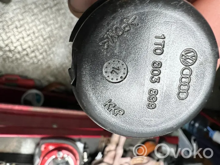 Volkswagen Golf VII Tvirtinimo varžtas (atsarginio rato) 1T0803899