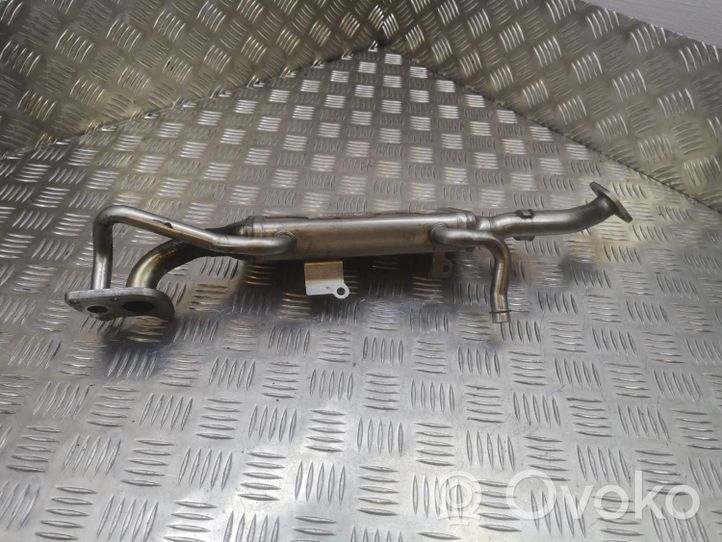 Mercedes-Benz E AMG W212 Valvola di raffreddamento EGR A6421401175