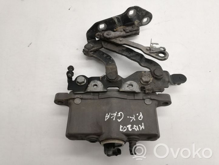 Mercedes-Benz E A207 Cerniere del vano motore/cofano A2129066201