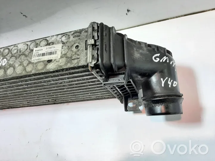 Volvo V40 Radiatore intercooler 31338734