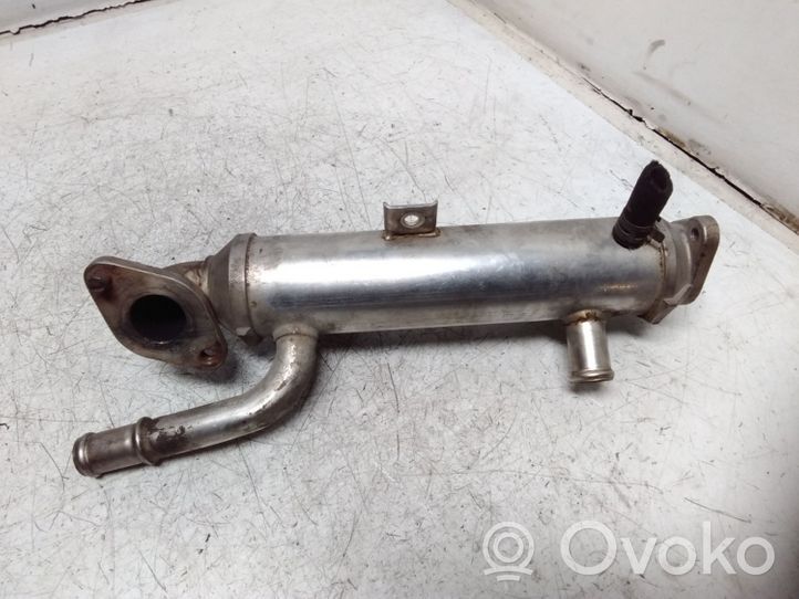 Volkswagen New Beetle EGR valve cooler 