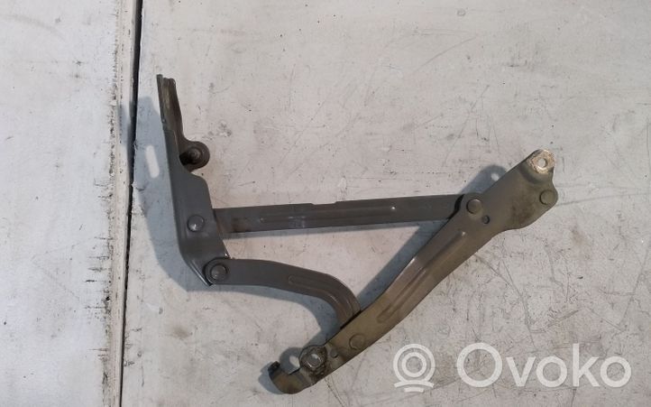 Chevrolet Epica Tailgate/trunk/boot hinge 