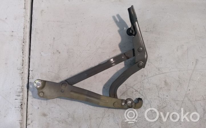 Chevrolet Epica Tailgate/trunk/boot hinge V250RH