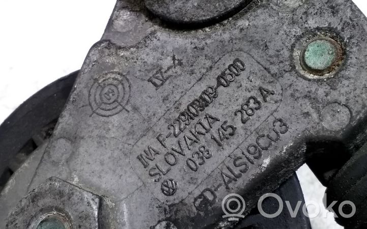 Audi A4 S4 B6 8E 8H Napinacz paska wielorowkowego / Alternatora 038145283