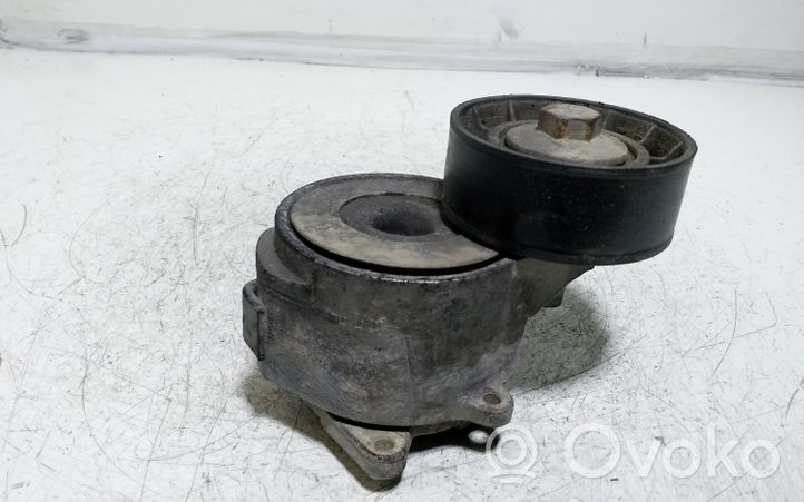 Opel Signum Napinacz paska wielorowkowego / Alternatora 55190813