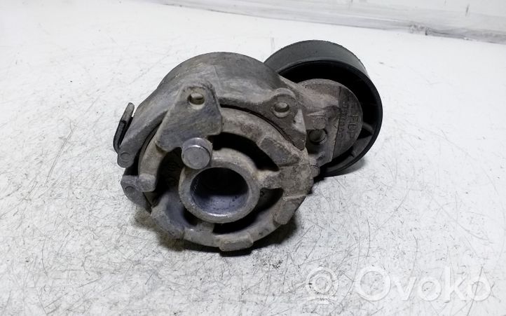 Opel Signum Napinacz paska wielorowkowego / Alternatora 55190813