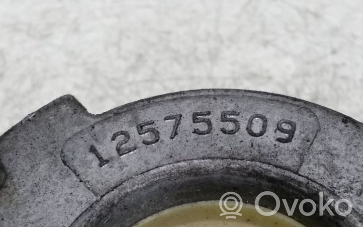 Opel Antara Натяжитель ремня генератора 12575509