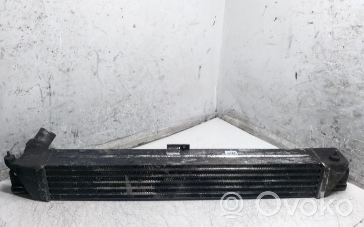 Opel Sintra Chłodnica powietrza doładowującego / Intercooler 4865540002