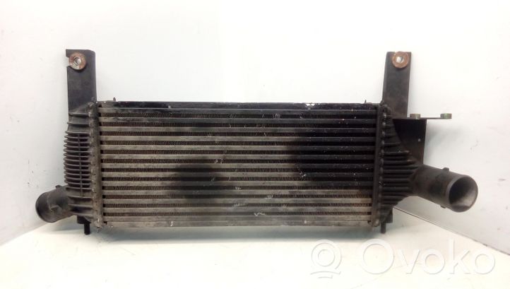 Nissan Pathfinder R51 Radiatore intercooler F6864