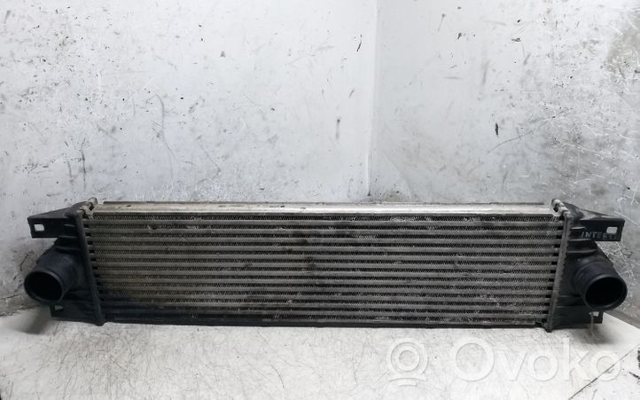 Nissan Interstar Chłodnica powietrza doładowującego / Intercooler IA1074867658F