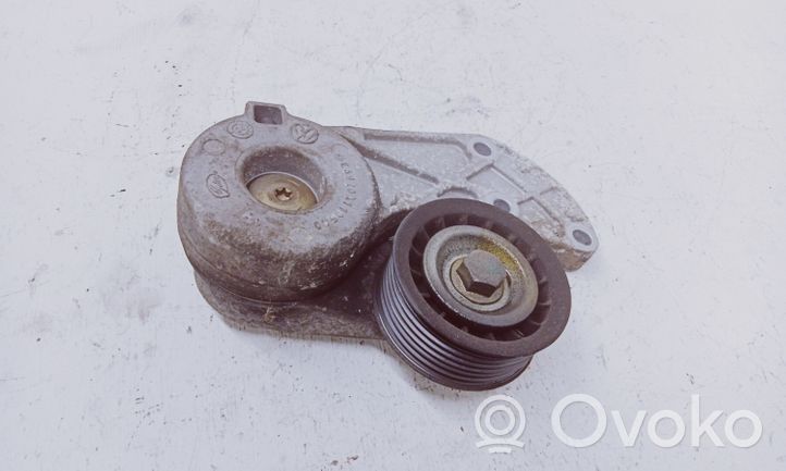 Volkswagen Touareg I Alternator belt tensioner 022145299E