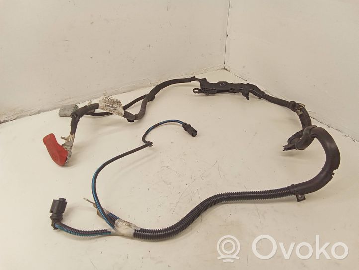 Citroen C4 II Picasso Positive cable (battery) 9816948380