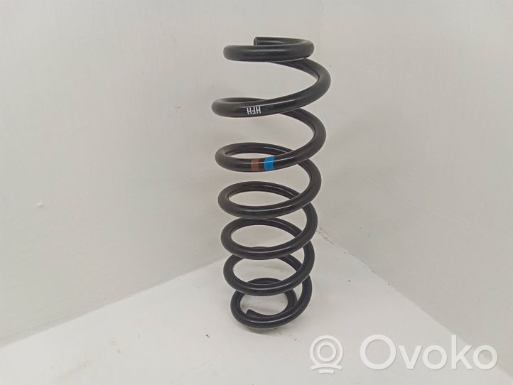 Volkswagen Tiguan Rear coil spring 