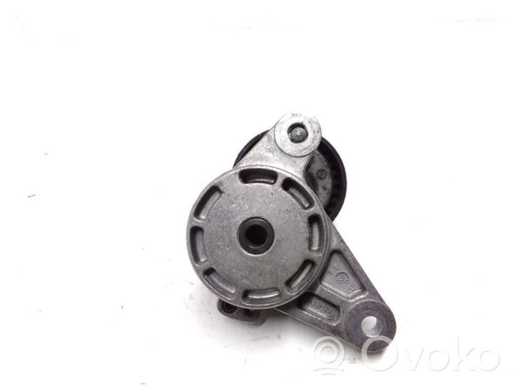 Volkswagen Tiguan Napinacz paska alternatora 04L903315A