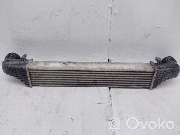 Mercedes-Benz CLS C219 Intercooler radiator A2115003902