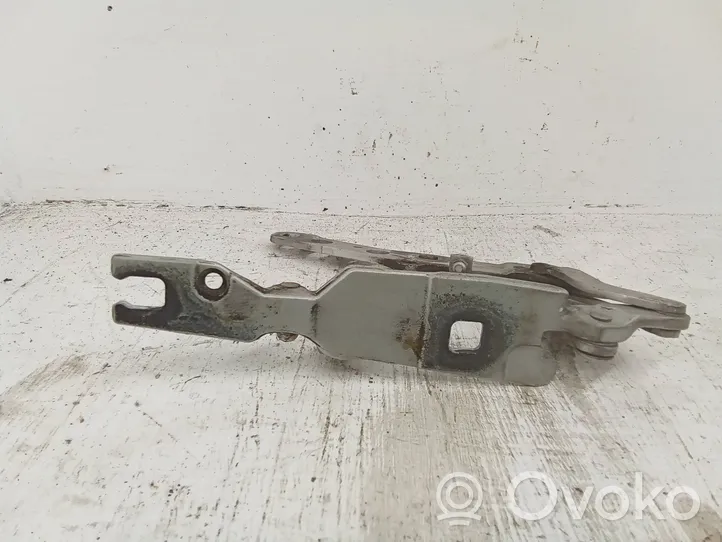 BMW X3 E83 Cerniere del vano motore/cofano 3411448